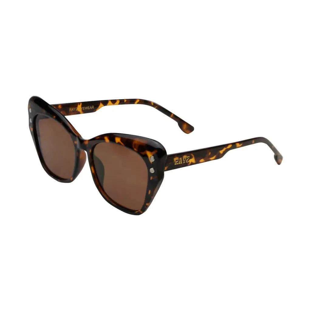CatSpecs - Lunettes de soleil pour femmes