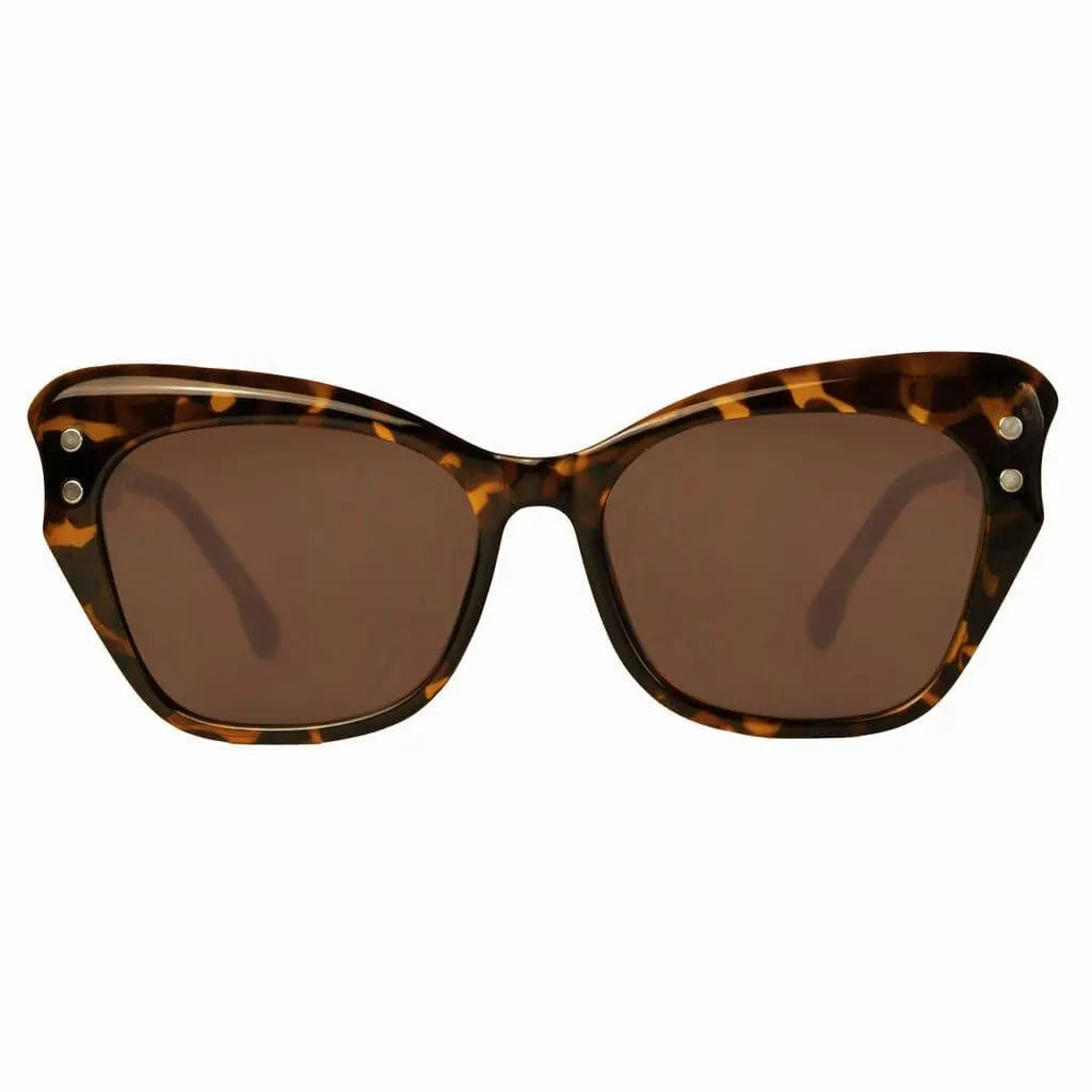 CatSpecs - Lunettes de soleil pour femmes